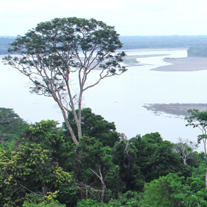 Yasuní, la joya de la biodiversidad